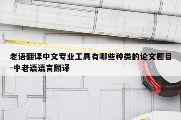 老语翻译中文专业工具有哪些种类的论文题目-中老语语言翻译