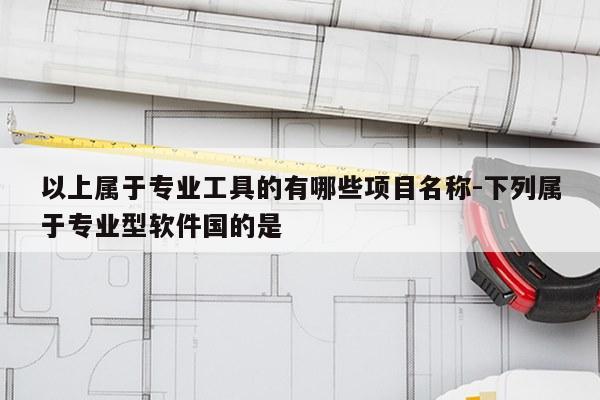 以上属于专业工具的有哪些项目名称-下列属于专业型软件国的是