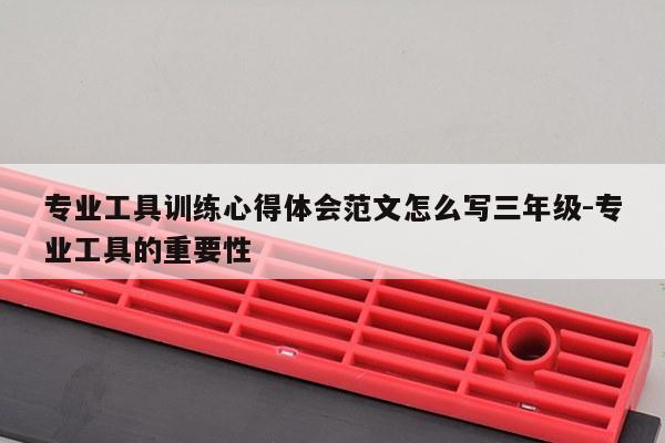 专业工具训练心得体会范文怎么写三年级-专业工具的重要性