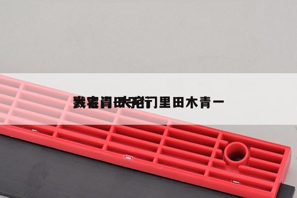 大宅门田子行
戮青青-大宅门里田木青一