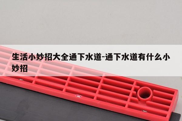 生活小妙招大全通下水道-通下水道有什么小妙招