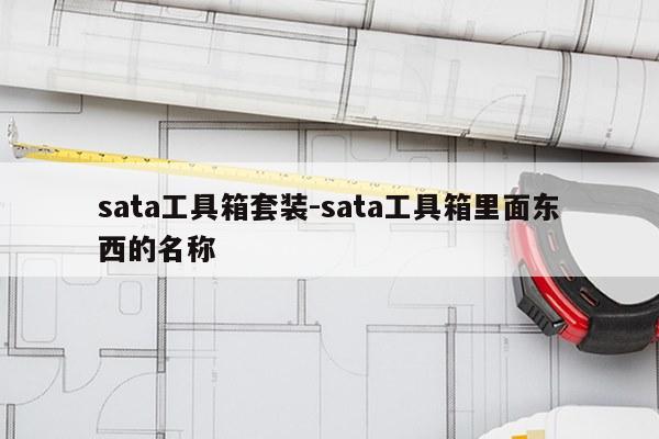 sata工具箱套装-sata工具箱里面东西的名称